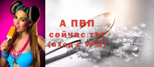 стафф Баксан