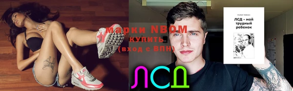 ГАЛЛЮЦИНОГЕННЫЕ ГРИБЫ Балабаново