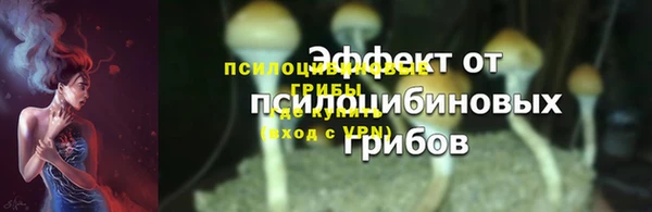 ГАЛЛЮЦИНОГЕННЫЕ ГРИБЫ Балабаново