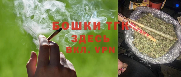 ECSTASY Белокуриха